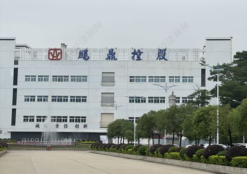 直擊股東大會丨鵬鼎控股董事長沈慶芳 單一大客戶占比超50%是結(jié)果 核心是滿足客戶需求并持續(xù)拓展